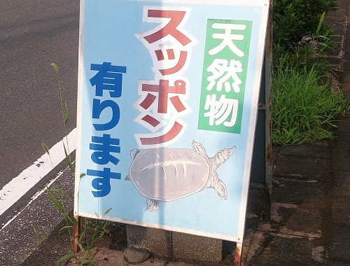 看板にビックリする方も。「何屋さん？」