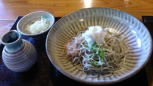 ぶっかけ辛味おろしそば / 1,000円