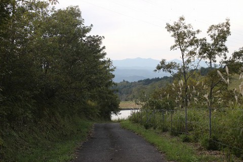 山道を抜けていくと、池が見えてきます。