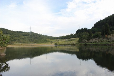 曽田の池