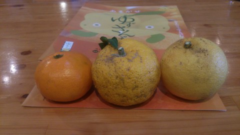 ３つの柑橘類