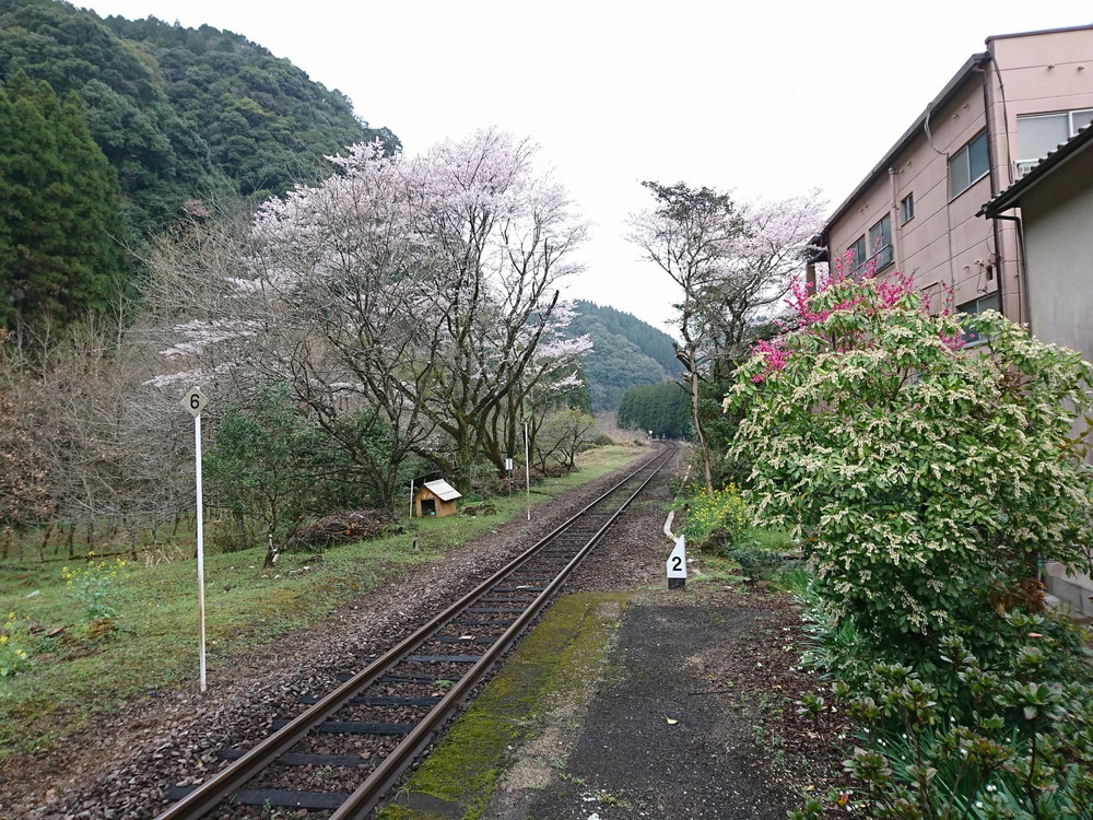 JR豊後中川駅の風景(3月22日朝) お還りなさい天瀬